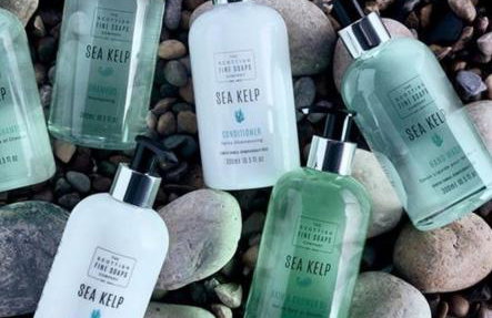 The Old Schoolhouse, Kinross - Foto 21