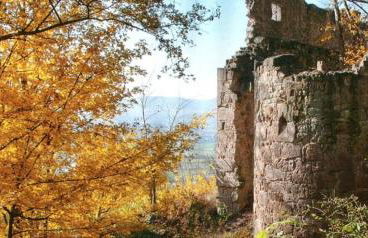 Ferienwohnung Zur Altach - Foto 14