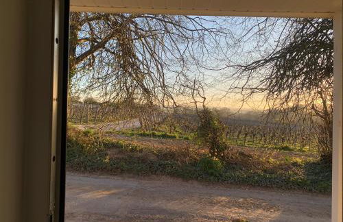 Mill Down Cottage Vineyard Retreat - Foto 16