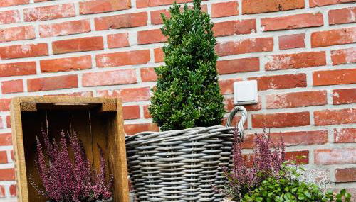 Haus Deichkind - Foto 2, Garden