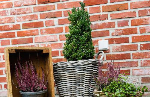 Haus Deichkind - Foto 2