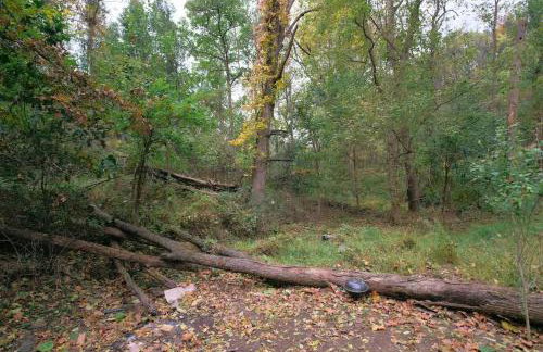 Vintage Lovers` Cabin with Jacuzzi & Lake Access - Foto 38