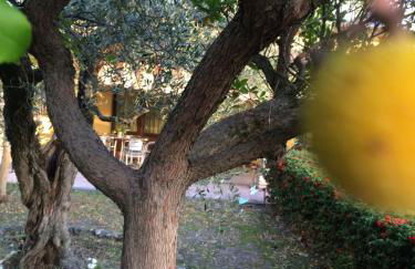 Agriturismo 7 Colonne - Foto 80