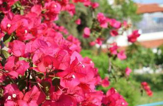 Villa Anna - Foto 67