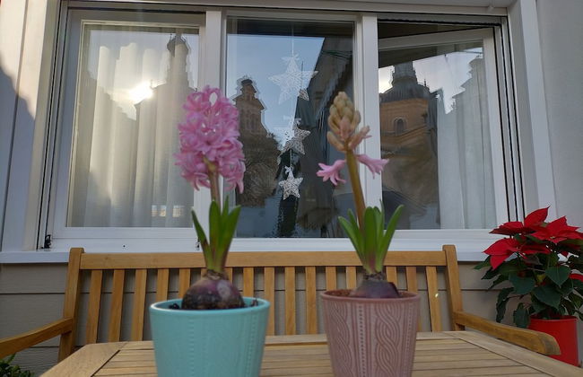 Azafrán Consuegra Casa Rural - Foto 25