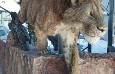 Apartments Kristic - Foto 58