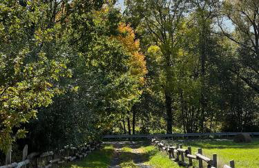 Pod Stromcem - Foto 37