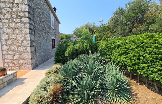 Apartment Ana Broce - Foto 31