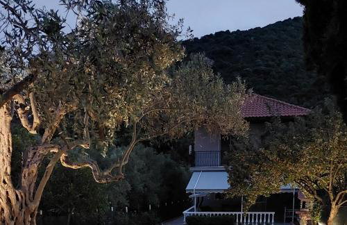 Olea Holiday Estate - Foto 33