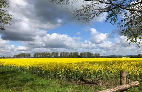 Ferienwohnung Basthorst - Foto 2