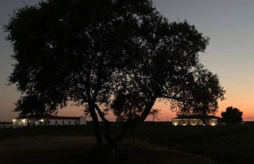 Herdade das Castas Nobres - Foto 122