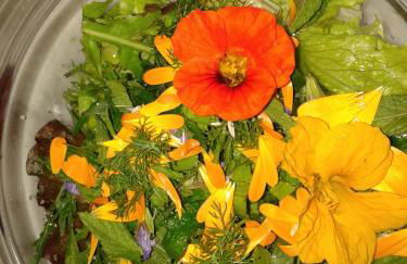 Il Rifugio del Contadino Country House - Photo 76