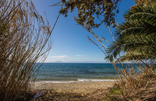 Luxury Villa Helios - Photo 58