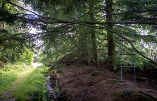 Llys-Derwin - Photo 27