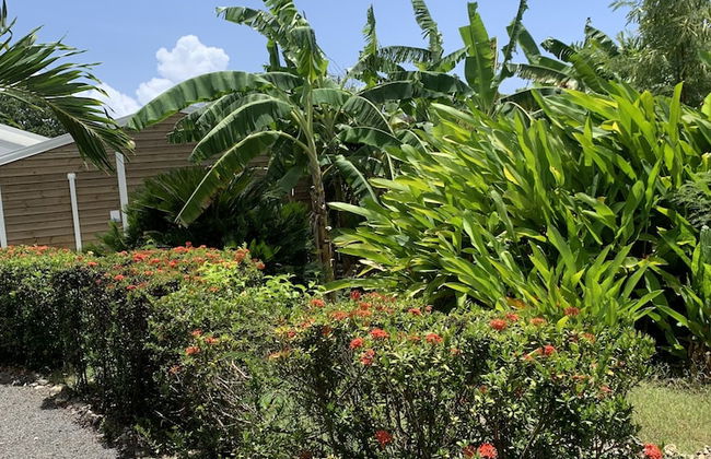 Gite Ty Koko Gadeloupe - Foto 73