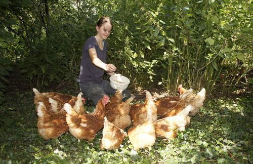 Bushof - Leben auf dem Land - Foto 28