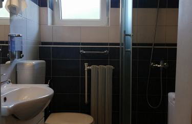 Apartments Krapinske Toplice Krtak Biba - Foto 34