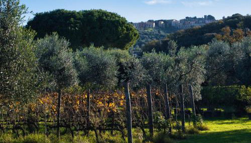 Tenuta Merlò - Foto 3, Garden view