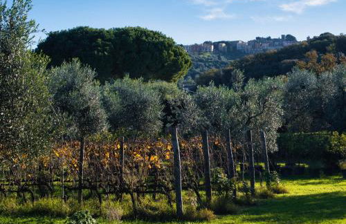 Tenuta Merlò - Foto 3