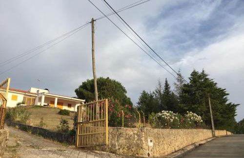 Casa de Pereiras, Vimioso - Foto 7