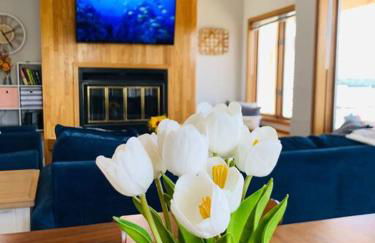 The best lake view in Ozark. - Foto 1