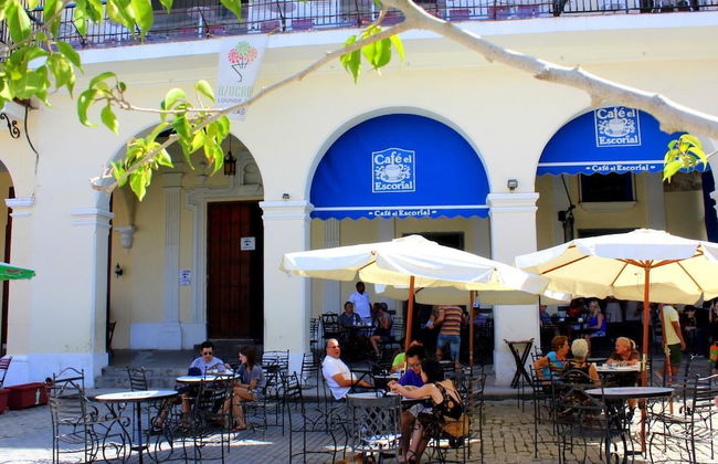 Apartment in Havana with garden and terrace - Foto 15