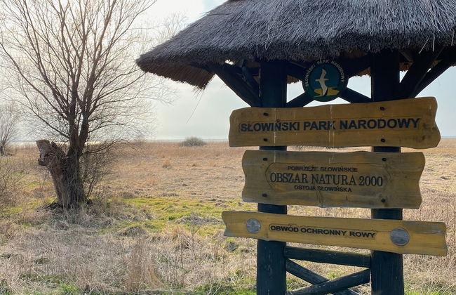 Ptasia Osada - Photo 50