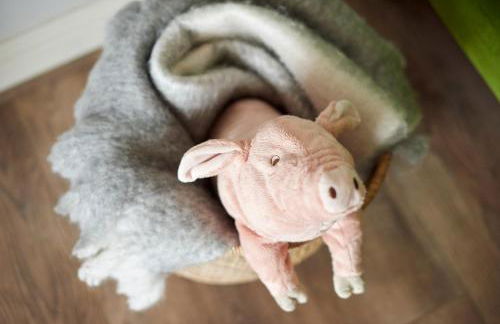 Hen Houses with Hot Tubs - Big Drift and Fairchilds Barn - Foto 28