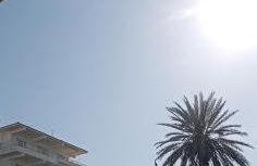 Dioni of Rhodes - Foto 20