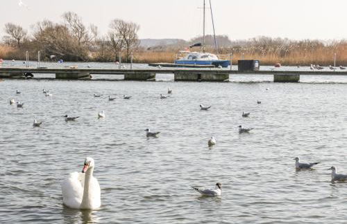 Lilac Cottage - Photo 46