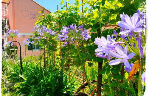 Casa Vacanze Family - Foto 34