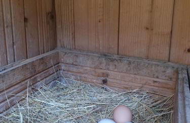 Collina e mare - Foto 13