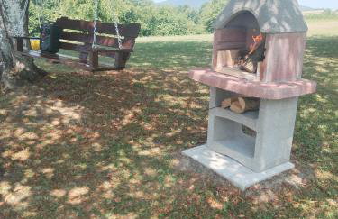 Yellow Rose - Foto 16