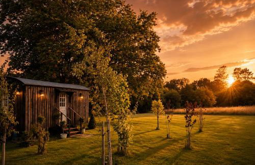 Mountbatten Shepherds hut & Buckhurst Shepherds hut - Photo 2