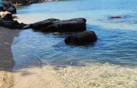 Apartment Nilema Rovinj - Photo 51