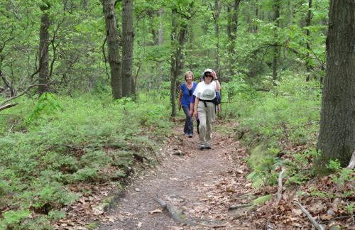 Rustic Cozy Private East Hampton Sorings Getaway - Foto 11