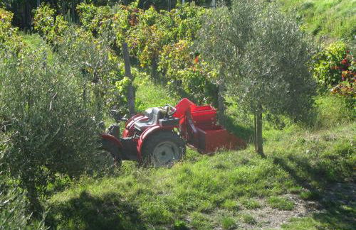 Sostio a Levante Guest House - Foto 74