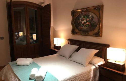 MORGAN wifi y garaje - Foto 5