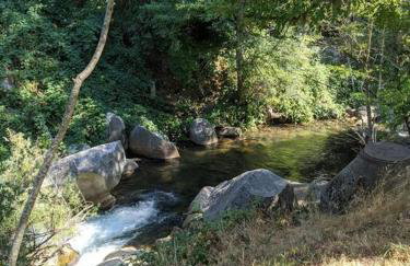 1870s Stained Glass Nostalgia - Foto 30