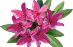 Alpine Blue Apartments - Foto 23