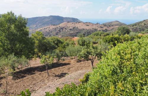 Ai Demani, Pollina Villa con piscina - Foto 22