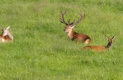 The Old Convent Holiday Apartments - Foto 48