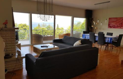 Beachfront House Villa 35min from Athens - Foto 46