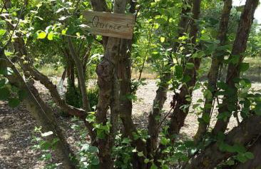 STATHI'S COTTAGE - Foto 22