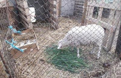 Casa Rural Abuela Simona - Foto 13