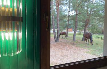 Gajówka Pilica 45A - Foto 51