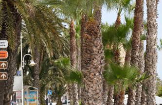 Lasgondolas1015 - Photo 38