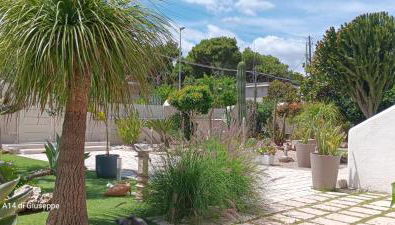 b&b Stella marina torre guaceto - Foto 4, Garden, Garden view