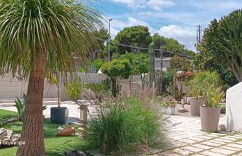 b&b Stella marina torre guaceto - Foto 4