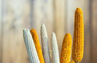 Zelaikoa Goikoa - baskeyrentals - Foto 28